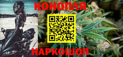 индика Дубна