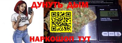 индика Дубна