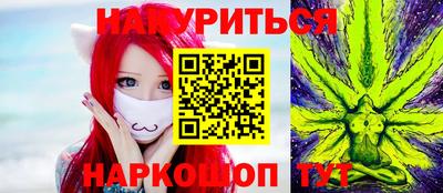 индика Дубна